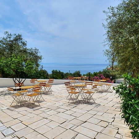 White Hotel Борш Екстериор снимка